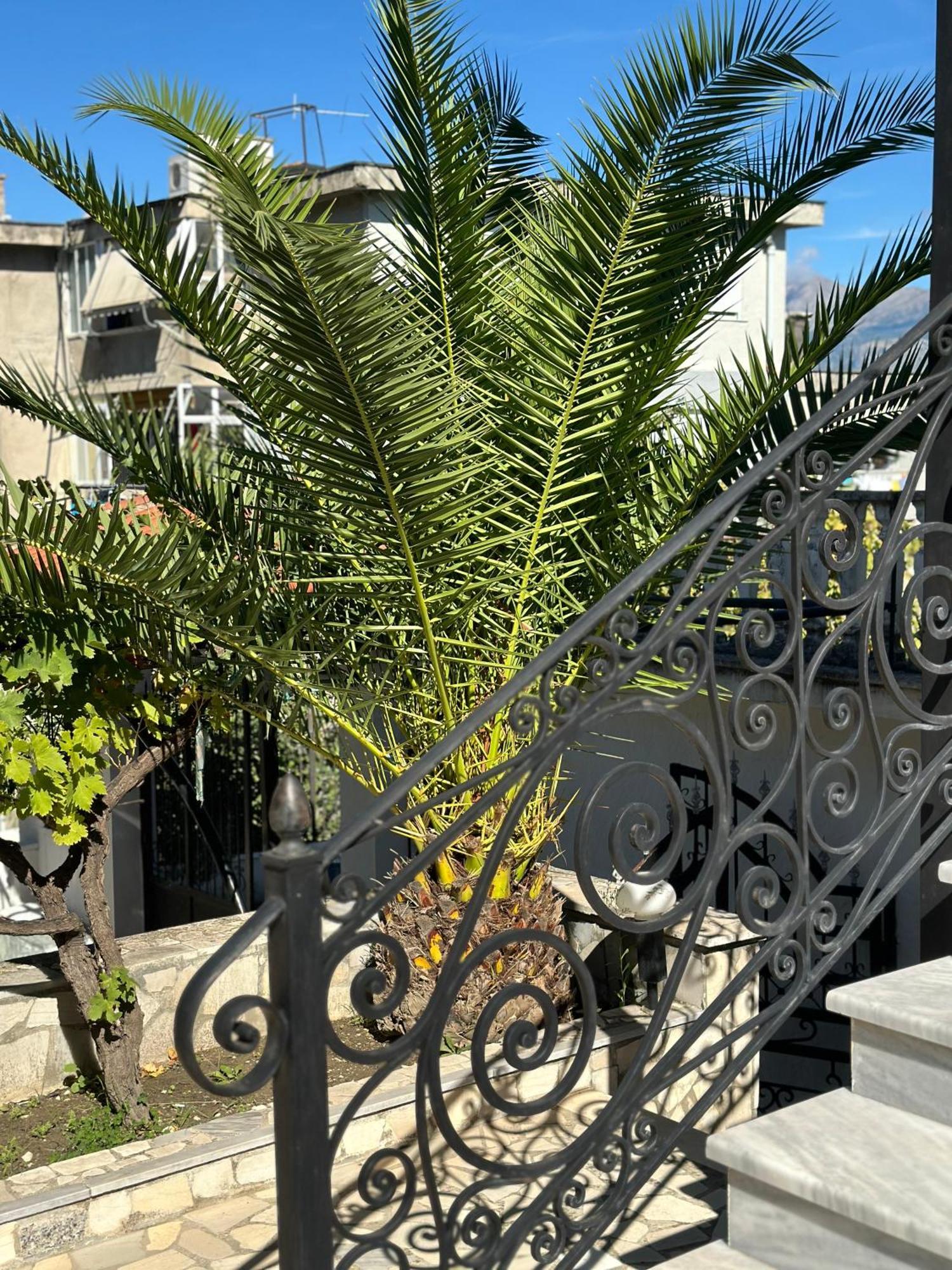 Villa Braho Gjirokastër Exterior foto
